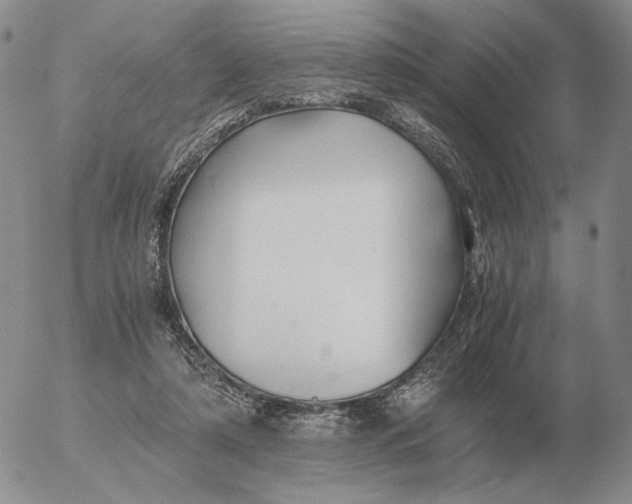 X0000053110306200508012132