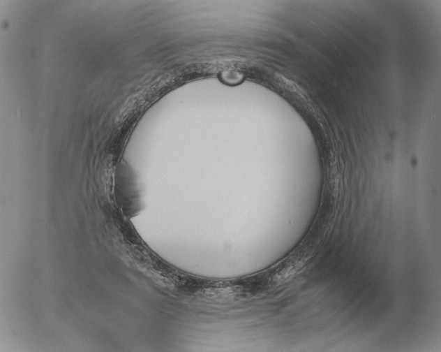 X0000053110307200508012132