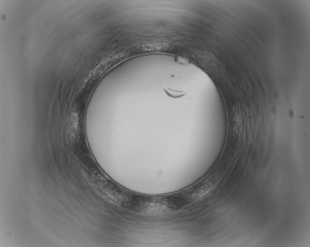 X0000053110308200508012132