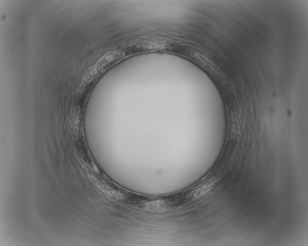 X0000053110309200508012132