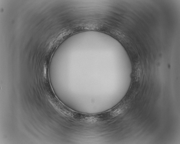 X0000053110310200508012132