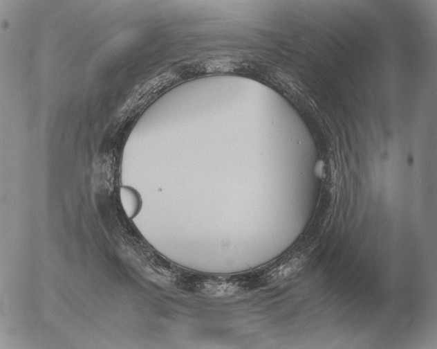 X0000053110311200508012132