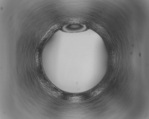 X0000053110312200508012132