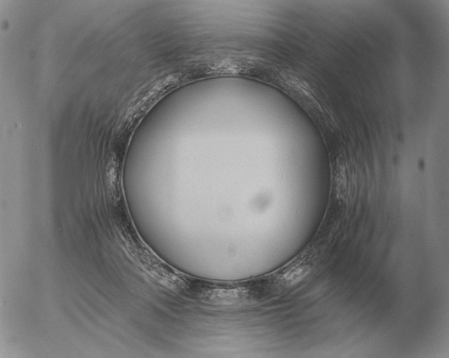 X0000053110314200508012131