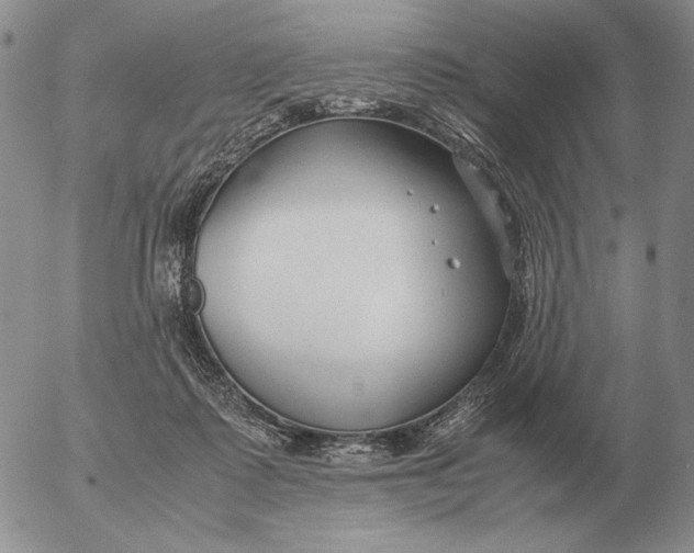 X0000053110315200508012131