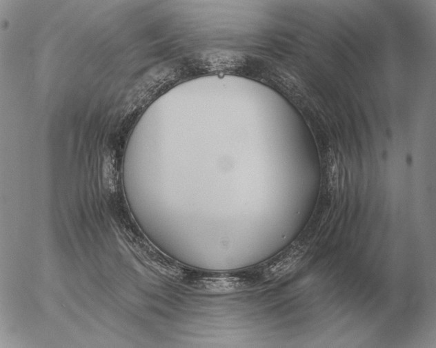 X0000053110316200508012131