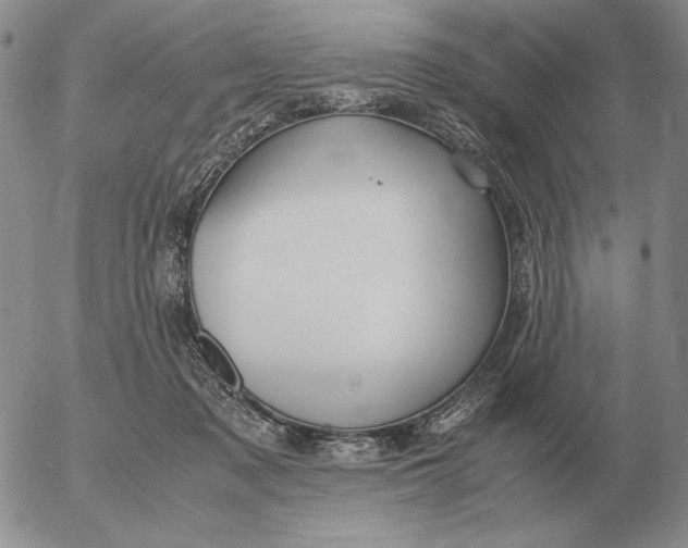 X0000053110317200508012131