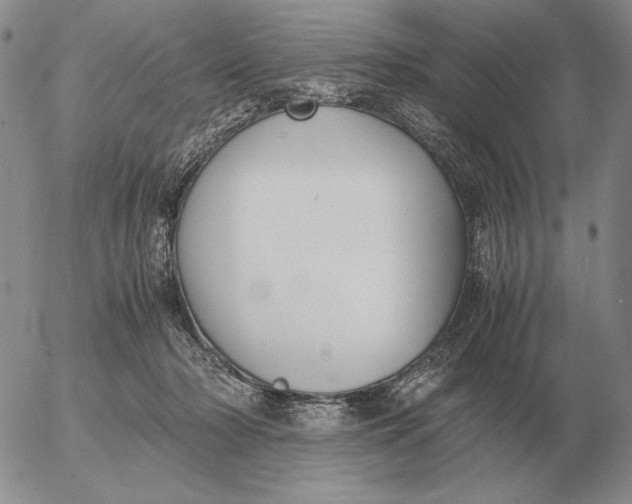 X0000053110318200508012131