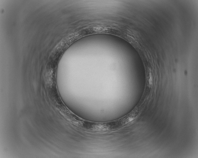 X0000053110319200508012131