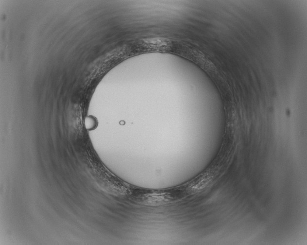 X0000053110320200508012131