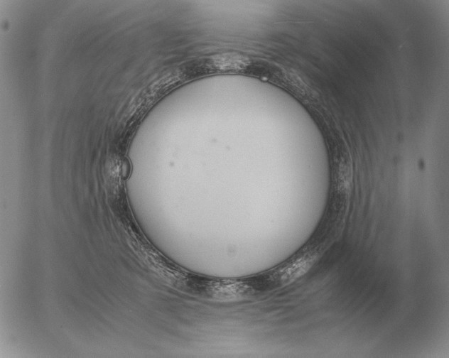 X0000053110321200508012131