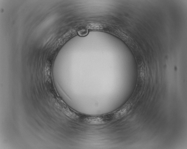 X0000053110322200508012131