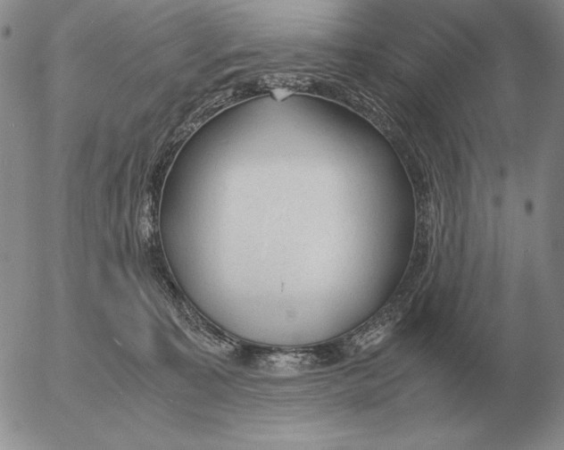 X0000053110323200508012131