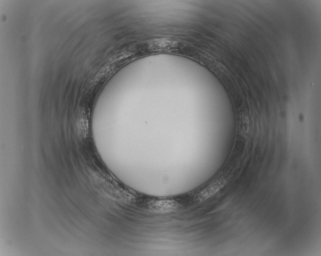 X0000053110324200508012131