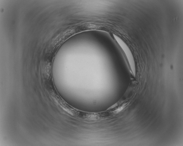 X0000053110325200508012131