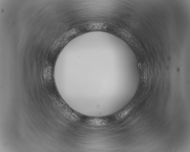 X0000053110326200508012131