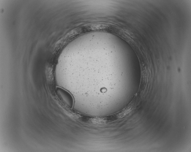 X0000053110327200508012131