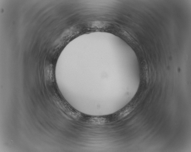 X0000053110328200508012131