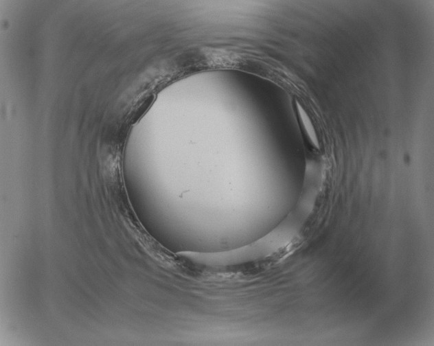 X0000053110329200508012131