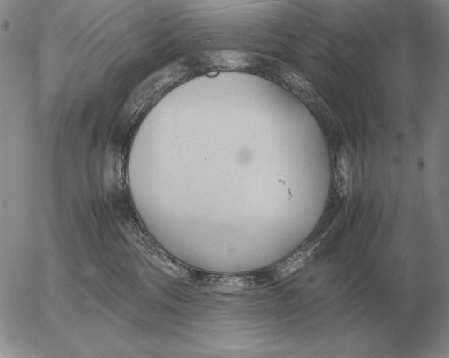 X0000053110330200508012131