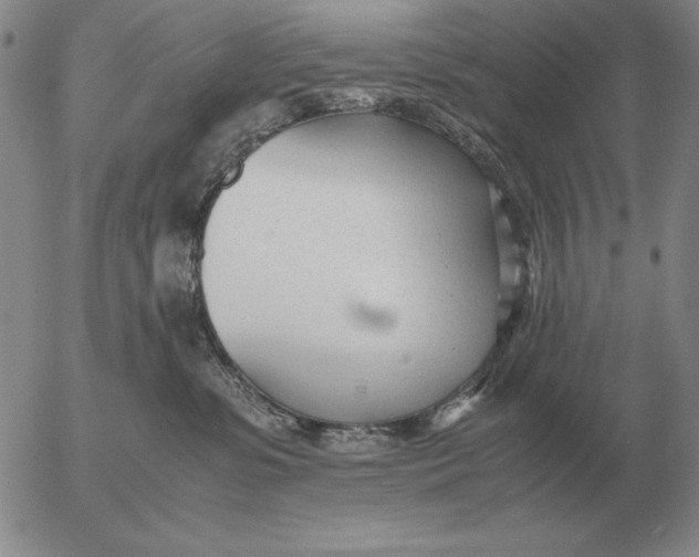 X0000053110331200508012131