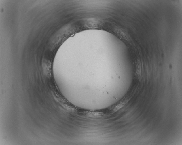 X0000053110332200508012131