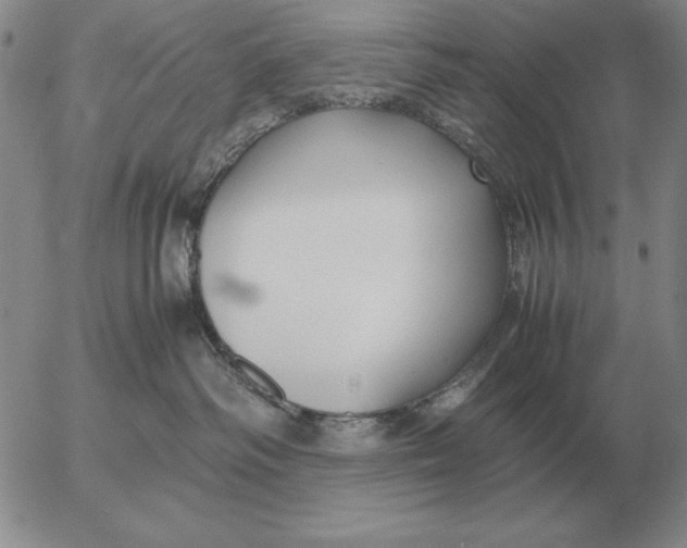 X0000053110334200508012131