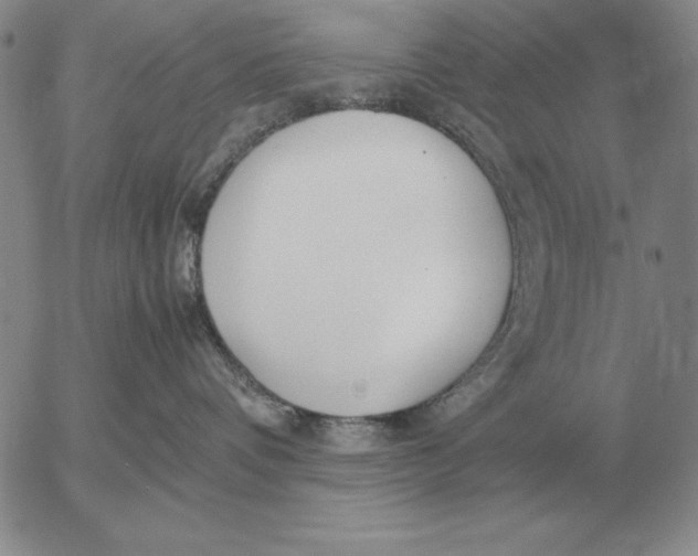 X0000053110336200508012131