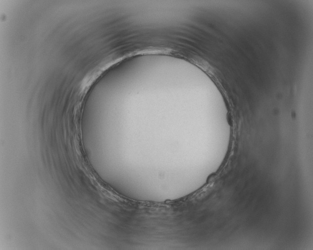 X0000053110337200508012130