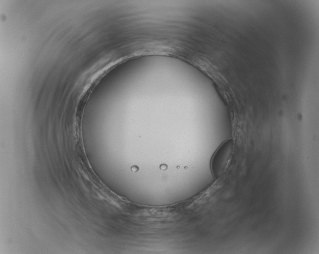 X0000053110338200508012130