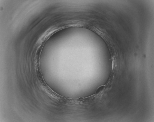 X0000053110339200508012130