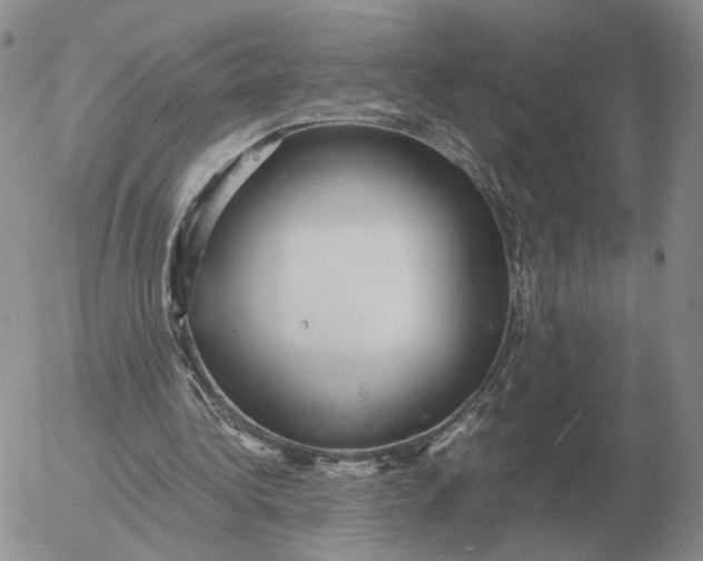 X0000053110340200508012130