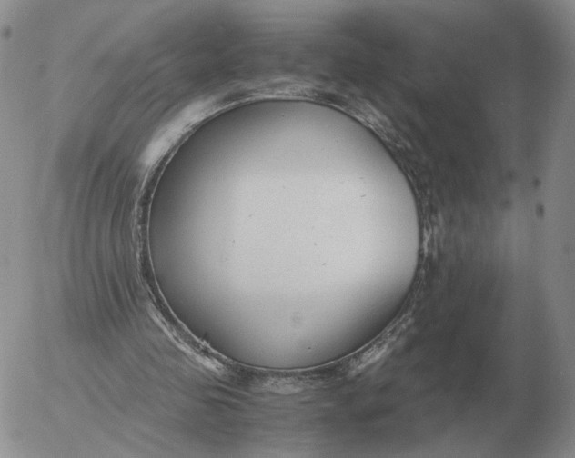 X0000053110341200508012130