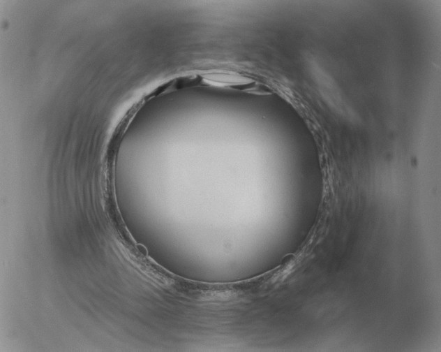 X0000053110342200508012130