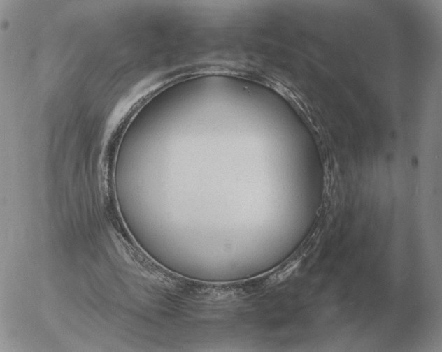 X0000053110343200508012130