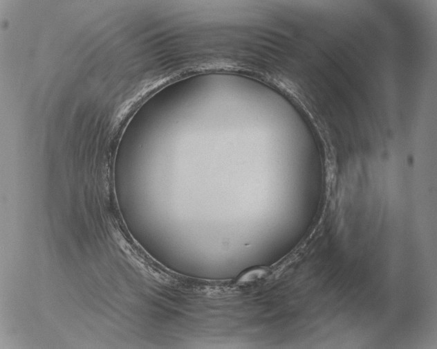 X0000053110345200508012130