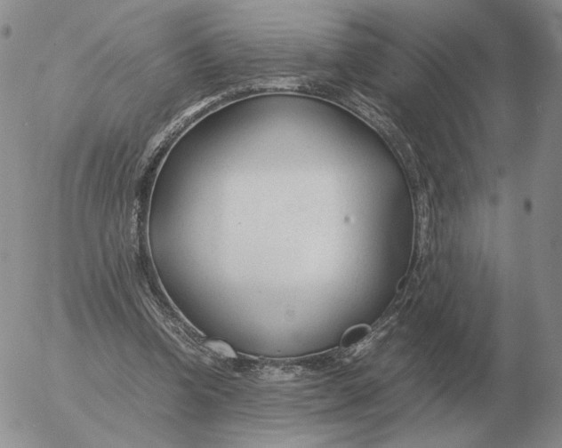 X0000053110346200508012130