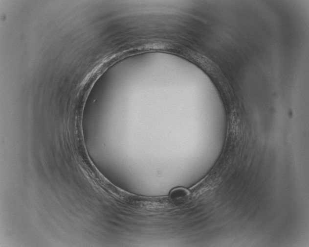 X0000053110347200508012130