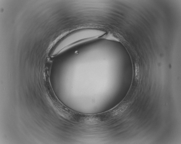 X0000053110348200508012130