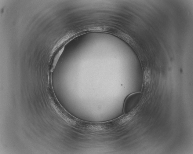 X0000053110349200508012130