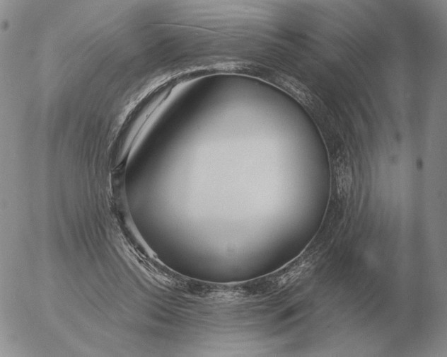 X0000053110350200508012131