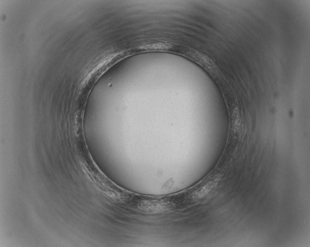 X0000053110351200508012131