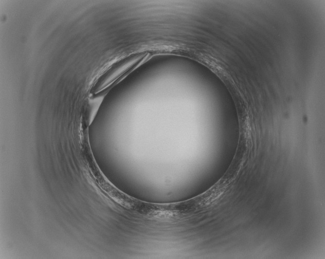 X0000053110352200508012131