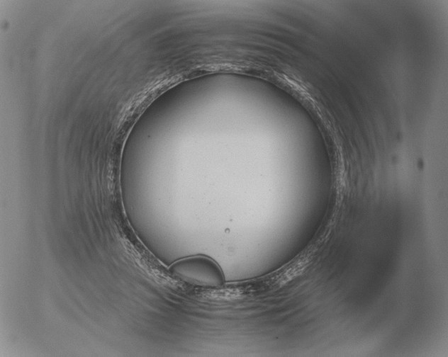 X0000053110353200508012131