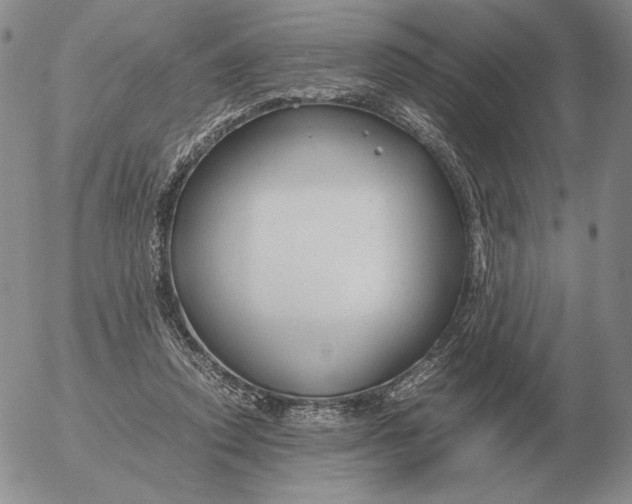 X0000053110354200508012131