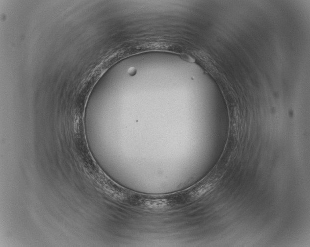 X0000053110355200508012131