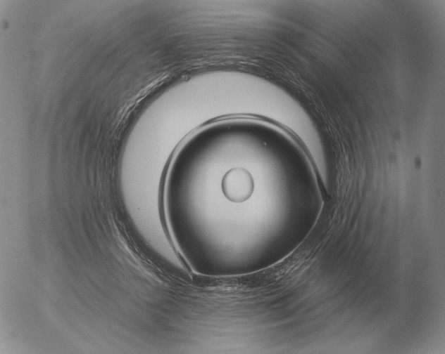 X0000053110356200508012131