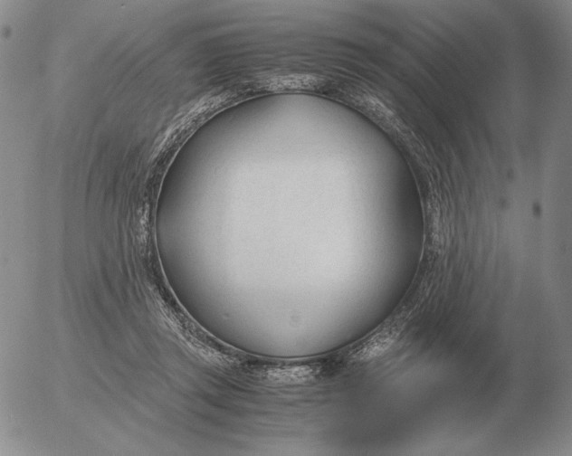 X0000053110357200508012131