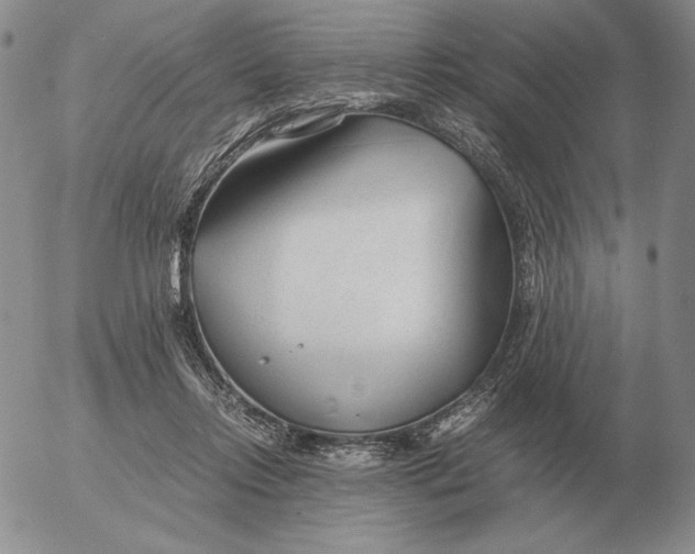 X0000053110358200508012131