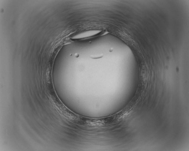 X0000053110359200508012131